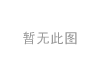 離合器片 Clutch Disc:078 141 031 R